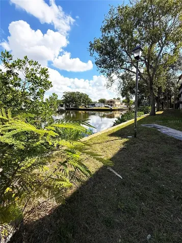 9002 Tudor Drive Tampa FL 33615