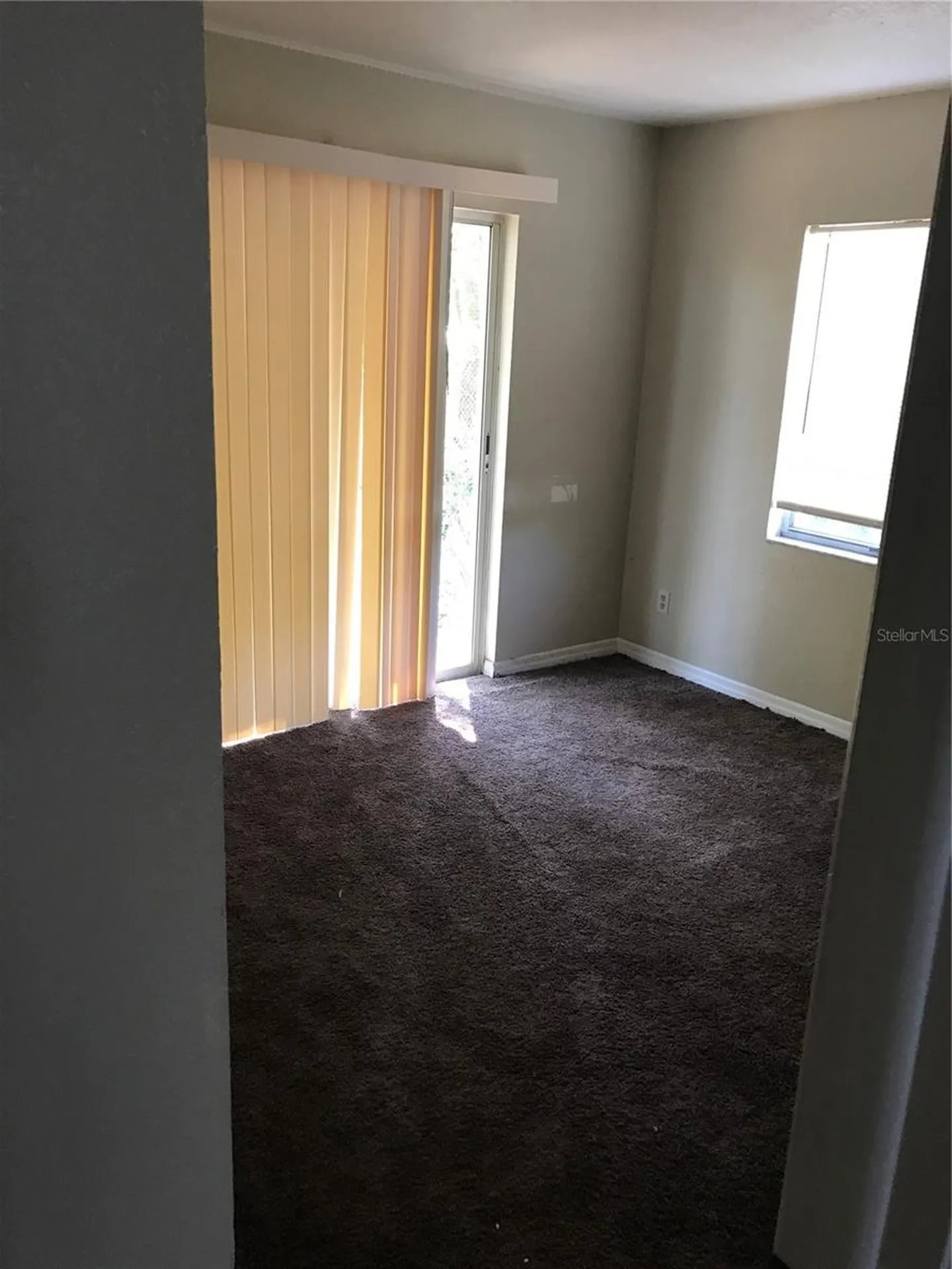 7101 E Bank Drive Tampa FL 33617