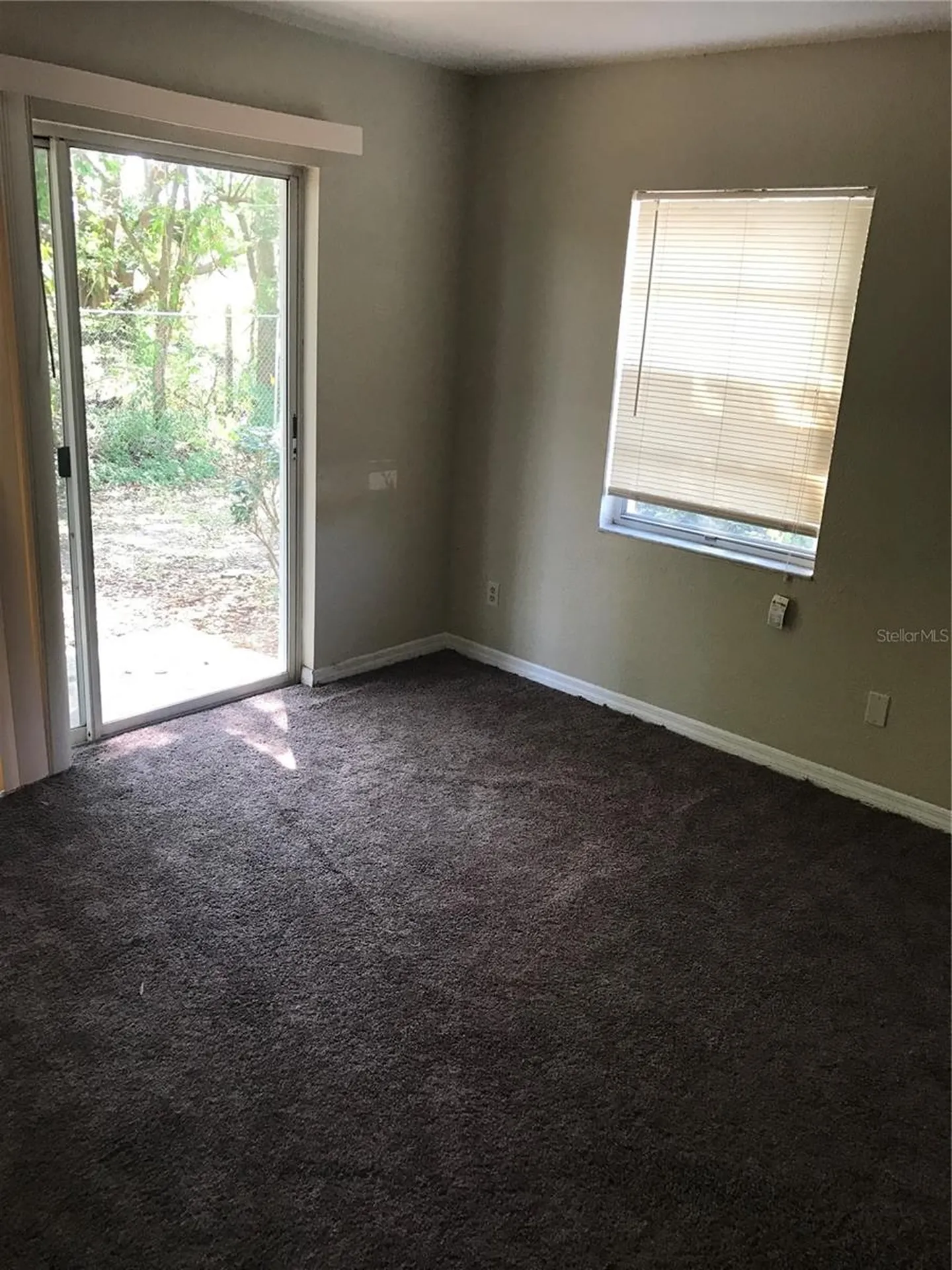 7101 E Bank Drive Tampa FL 33617