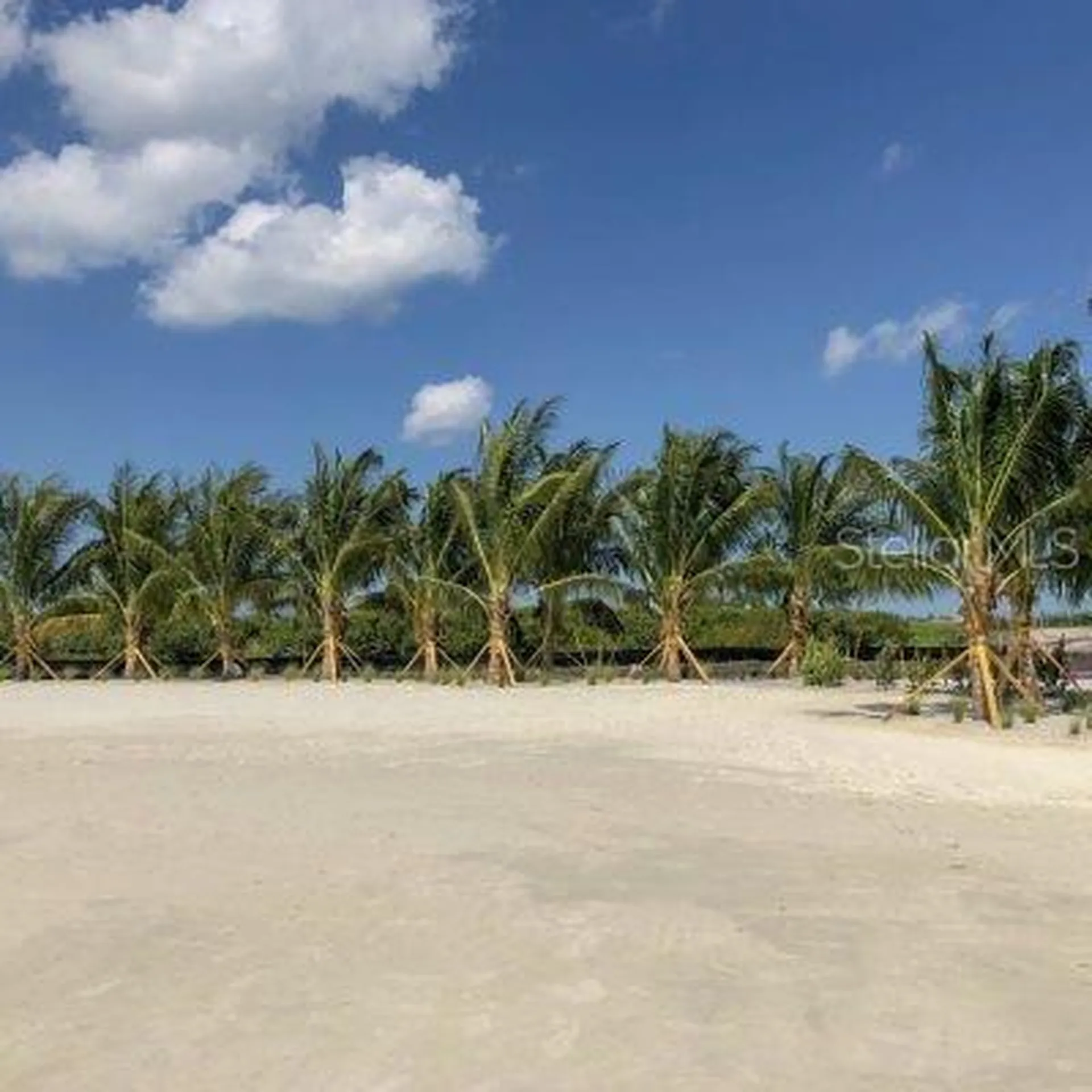 1810 4th Street E Palmetto FL 34221