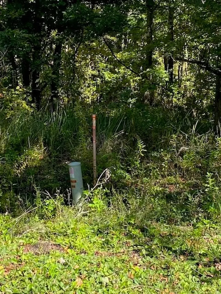 19611 NW 75th Street Alachua FL 32615