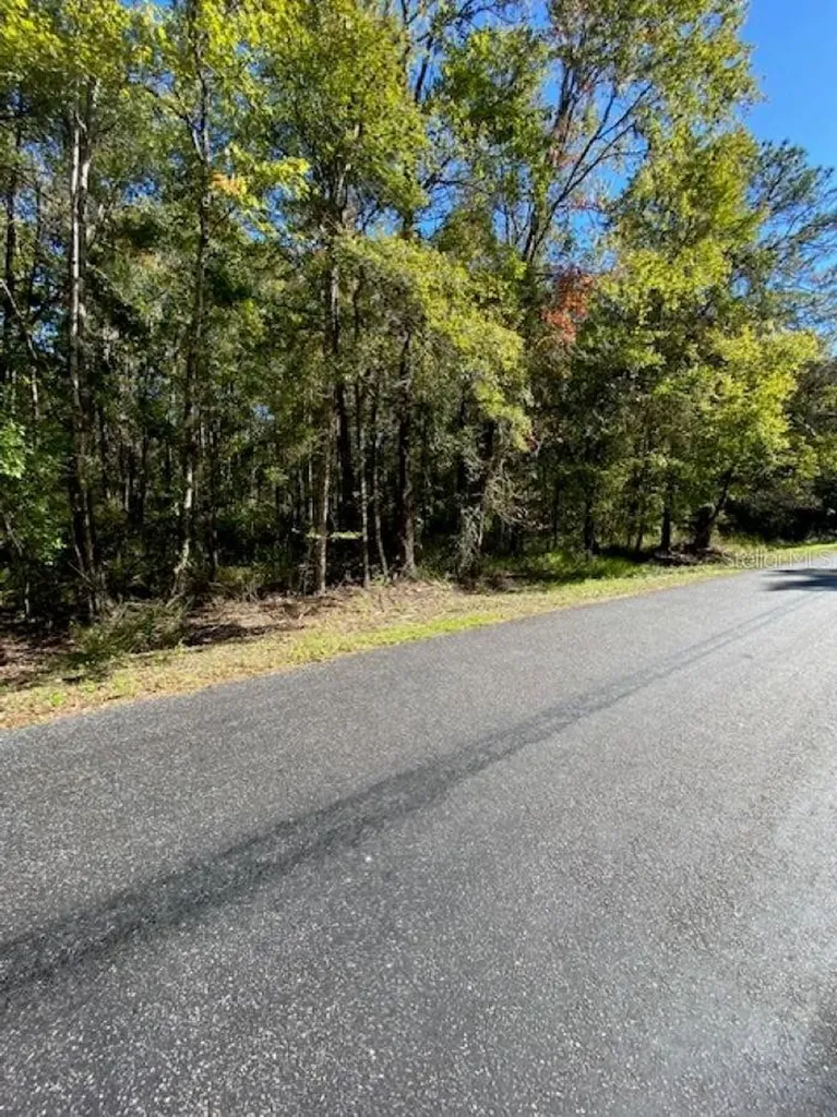 19611 NW 75th Street Alachua FL 32615