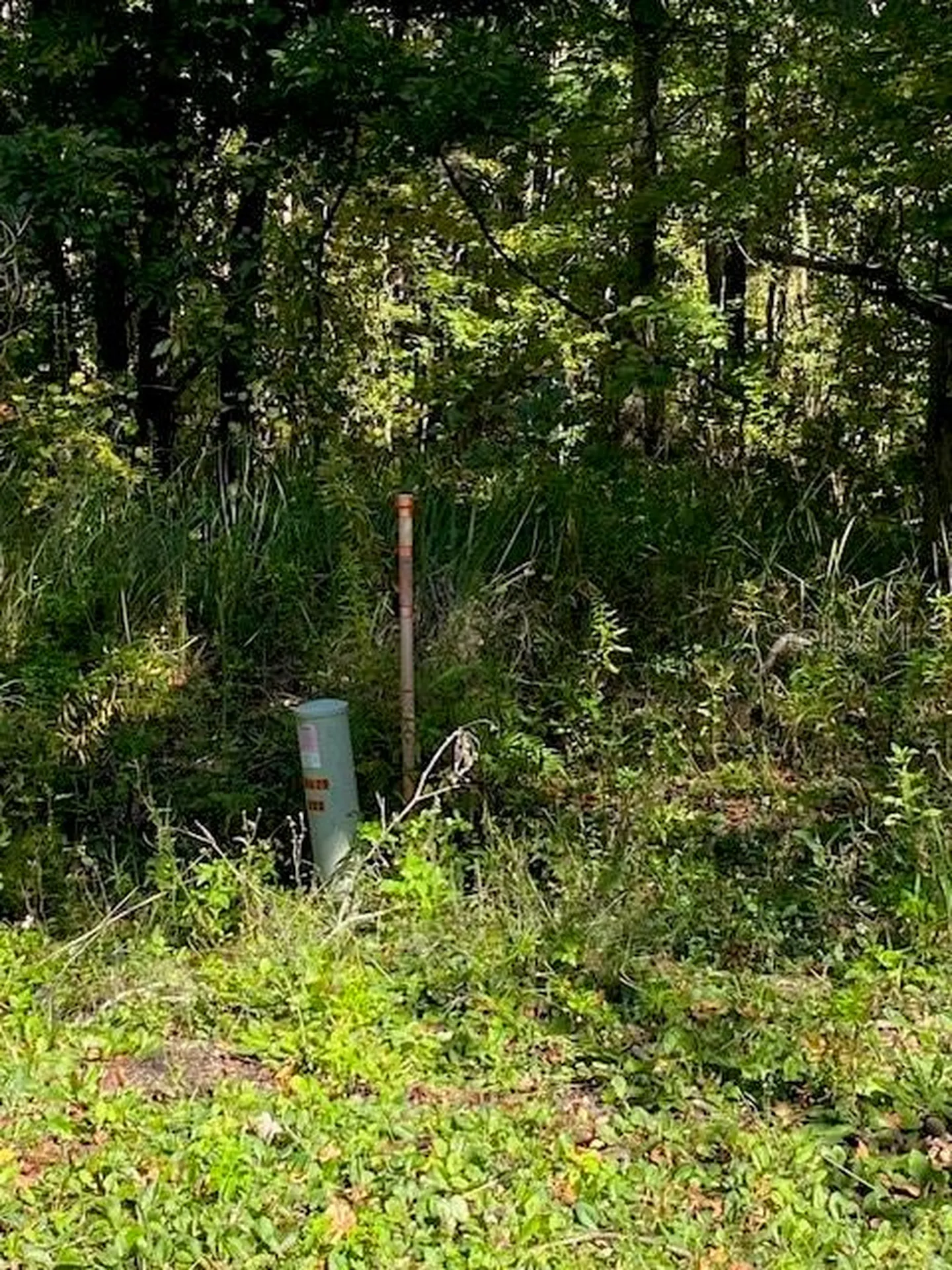 19611 NW 75th Street Alachua FL 32615