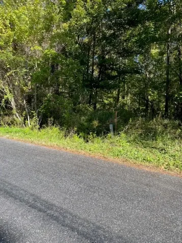 19611 NW 75th Street Alachua FL 32615