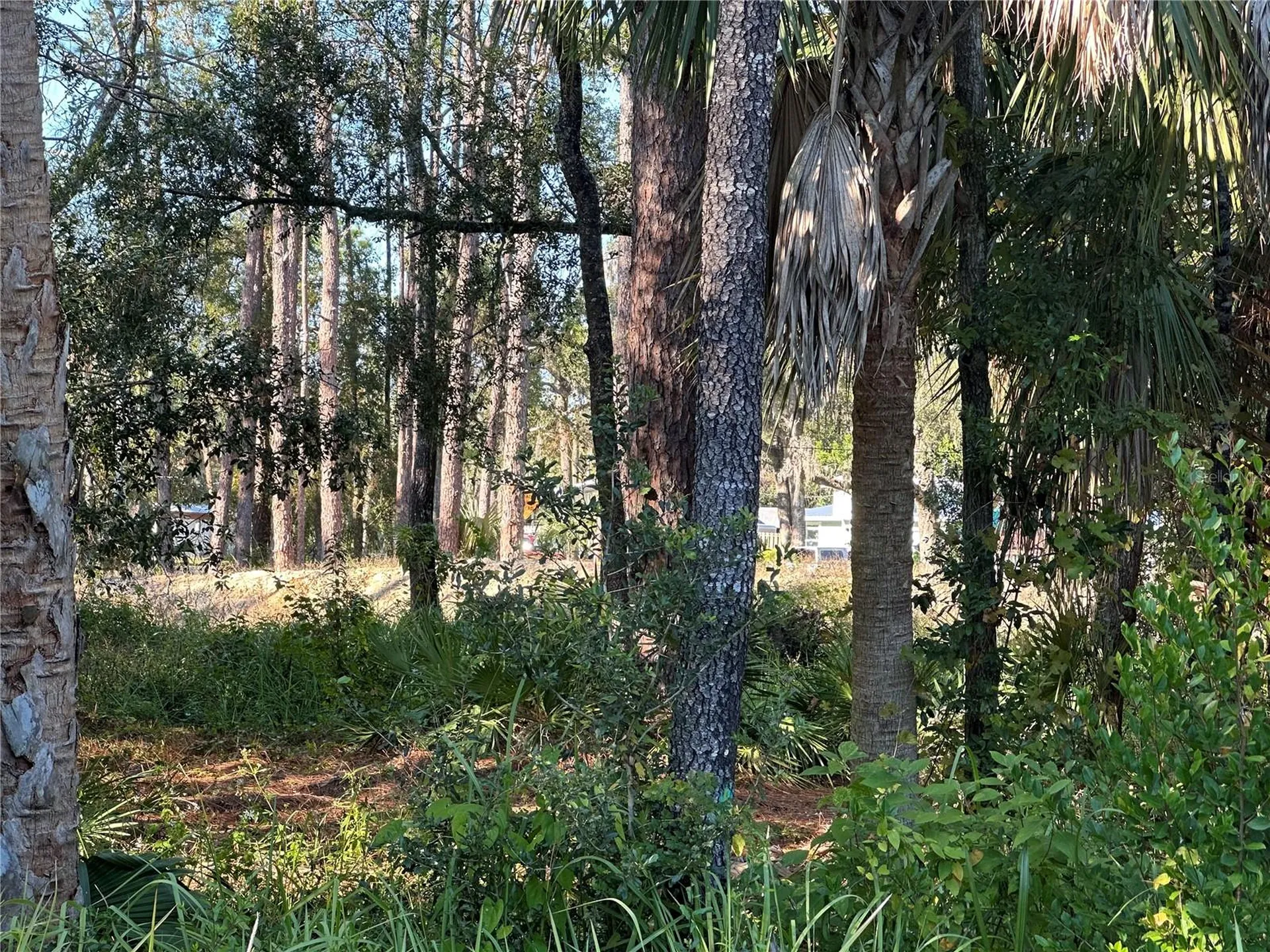 6291 W Arter Street Crystal River FL 34429