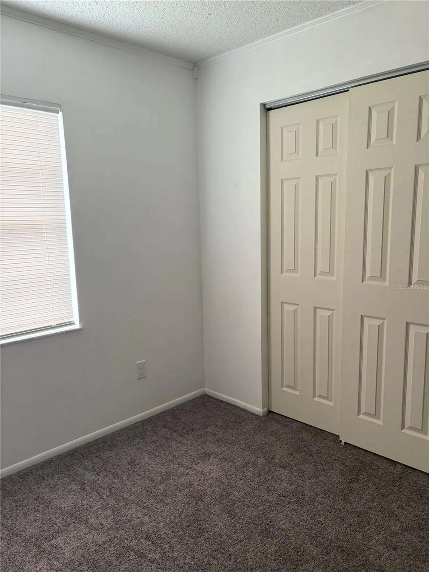 38545 Patti Lane Dade City FL 33523