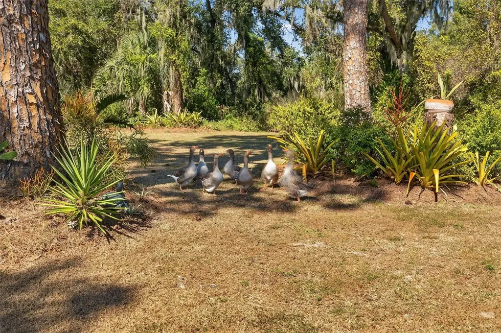 6570 Old Ranch Road Sarasota FL 34241