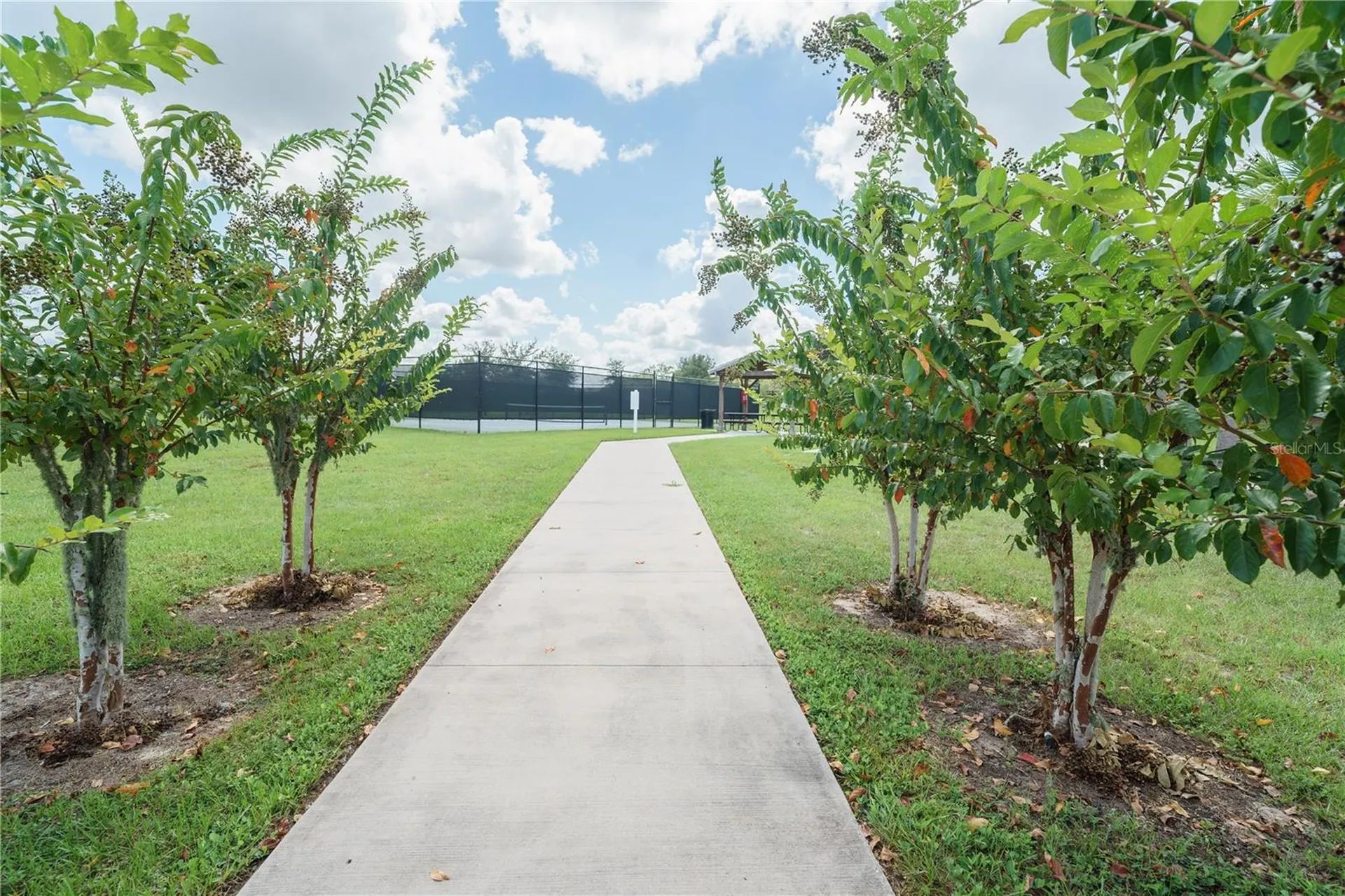 6250 SW 89th Lane Road Ocala FL 34476