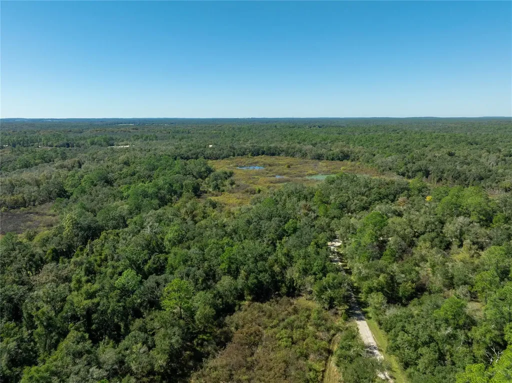 Lot 1 Chipstone Street Webster FL 33597