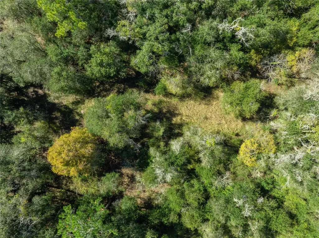 Lot 1 Chipstone Street Webster FL 33597