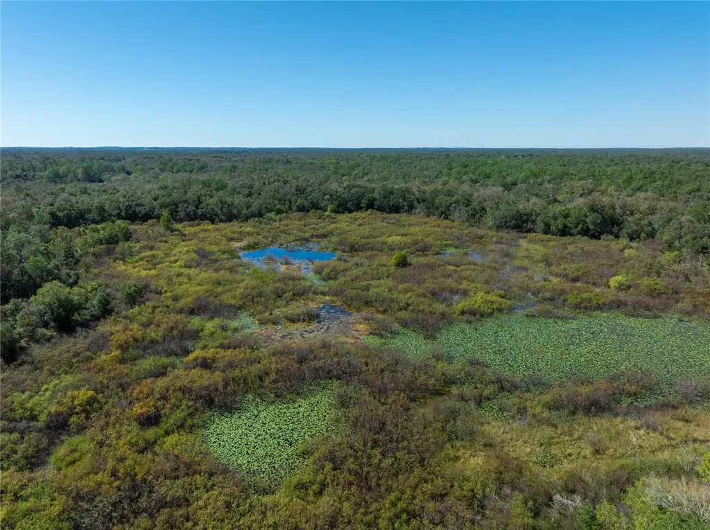 Lot 1 Chipstone Street Webster FL 33597