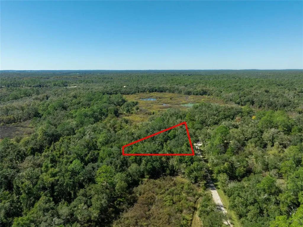 Lot 1 Chipstone Street Webster FL 33597