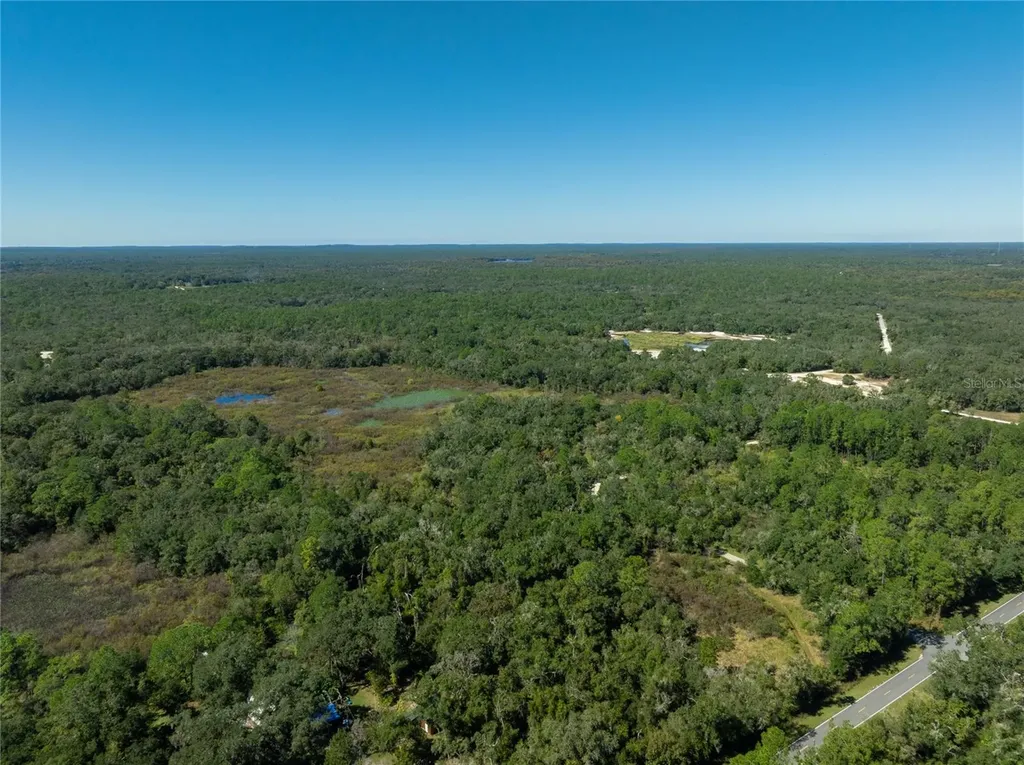 Lot 1 Chipstone Street Webster FL 33597