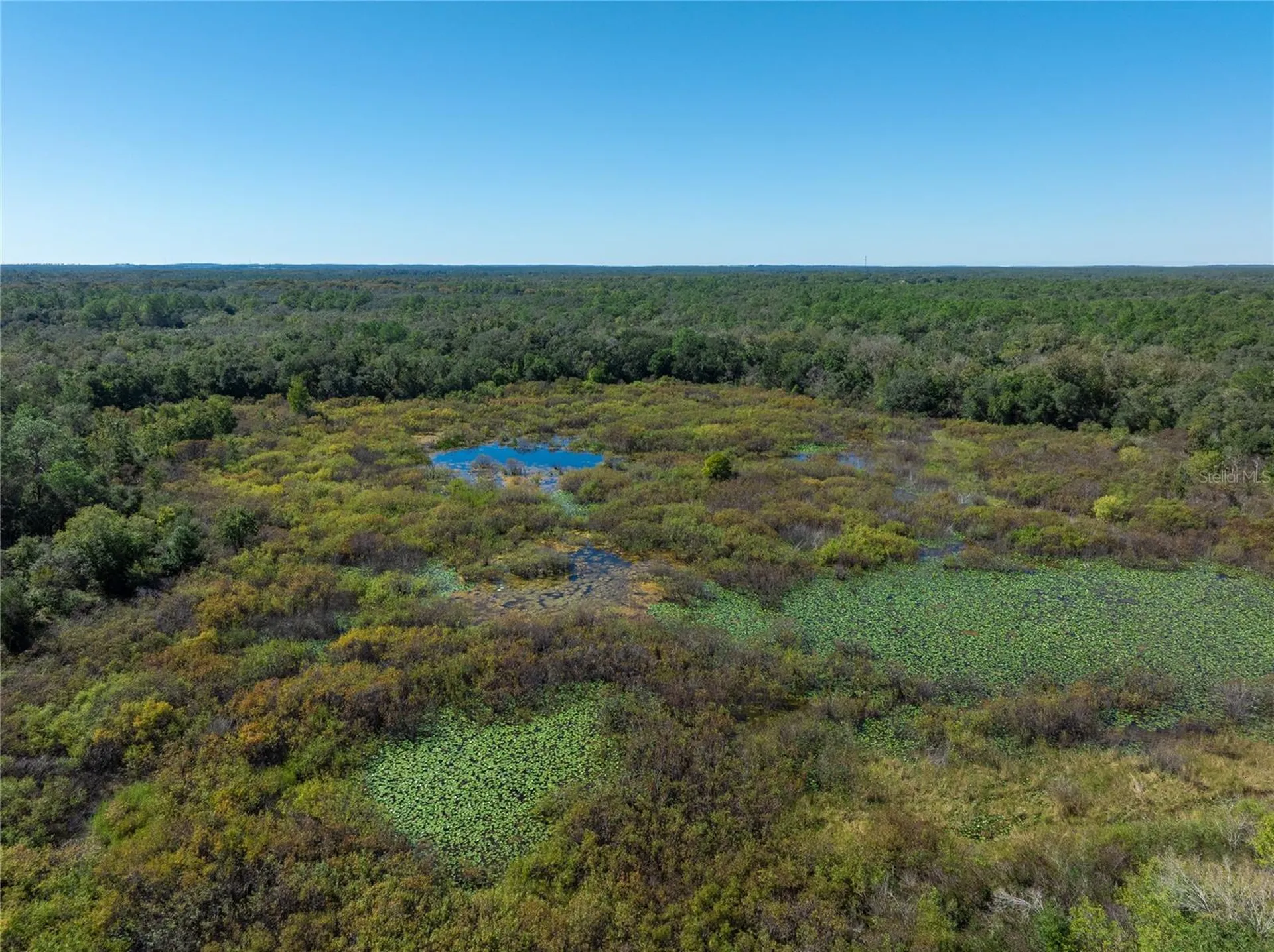 Lot 1 Chipstone Street Webster FL 33597