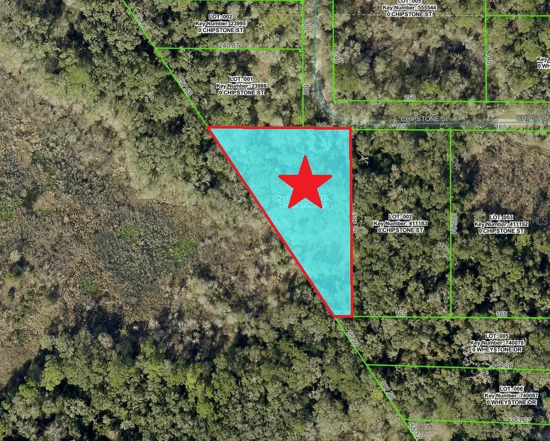 Lot 1 Chipstone Street Webster FL 33597
