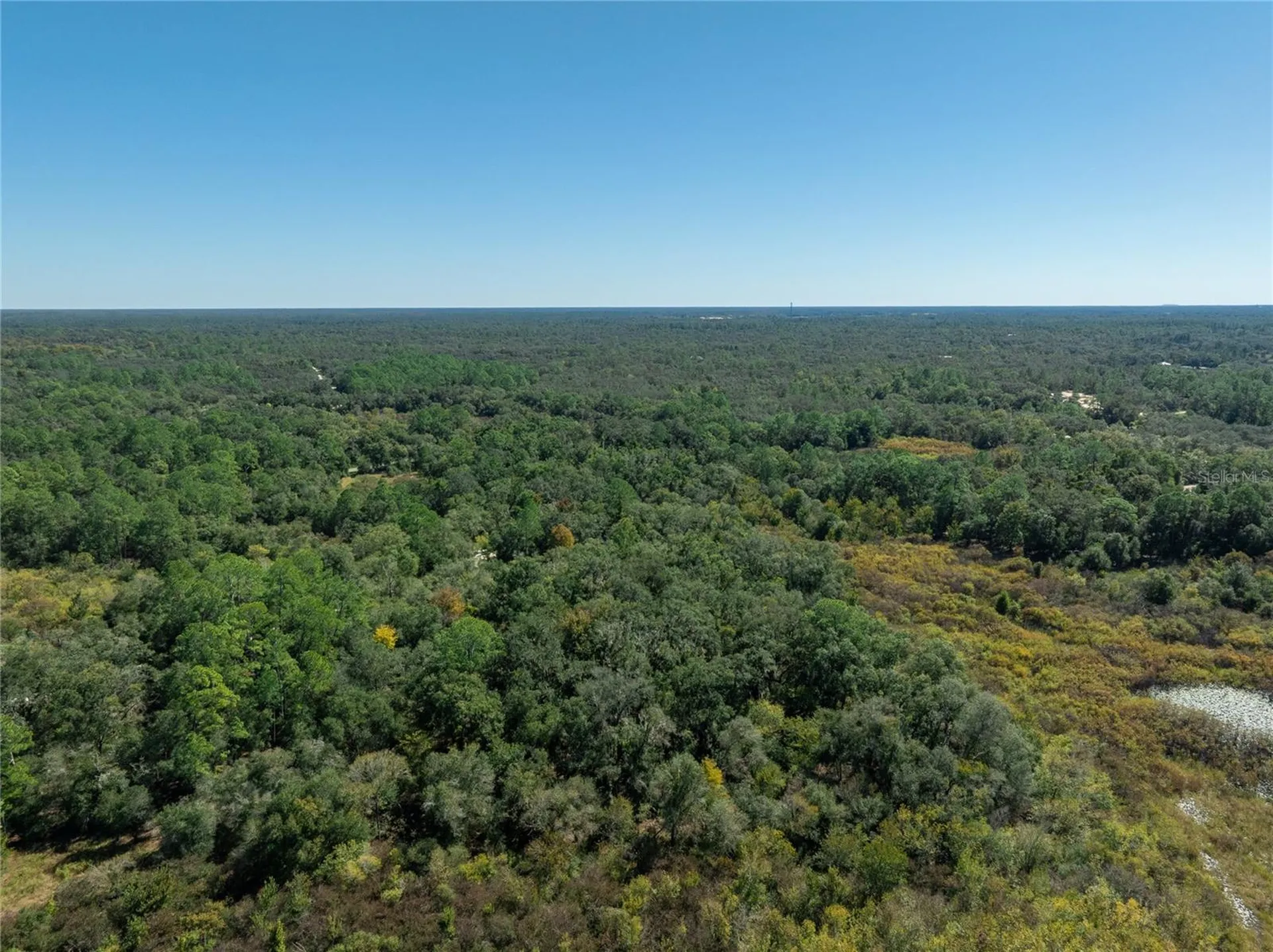 Lot 1 Chipstone Street Webster FL 33597