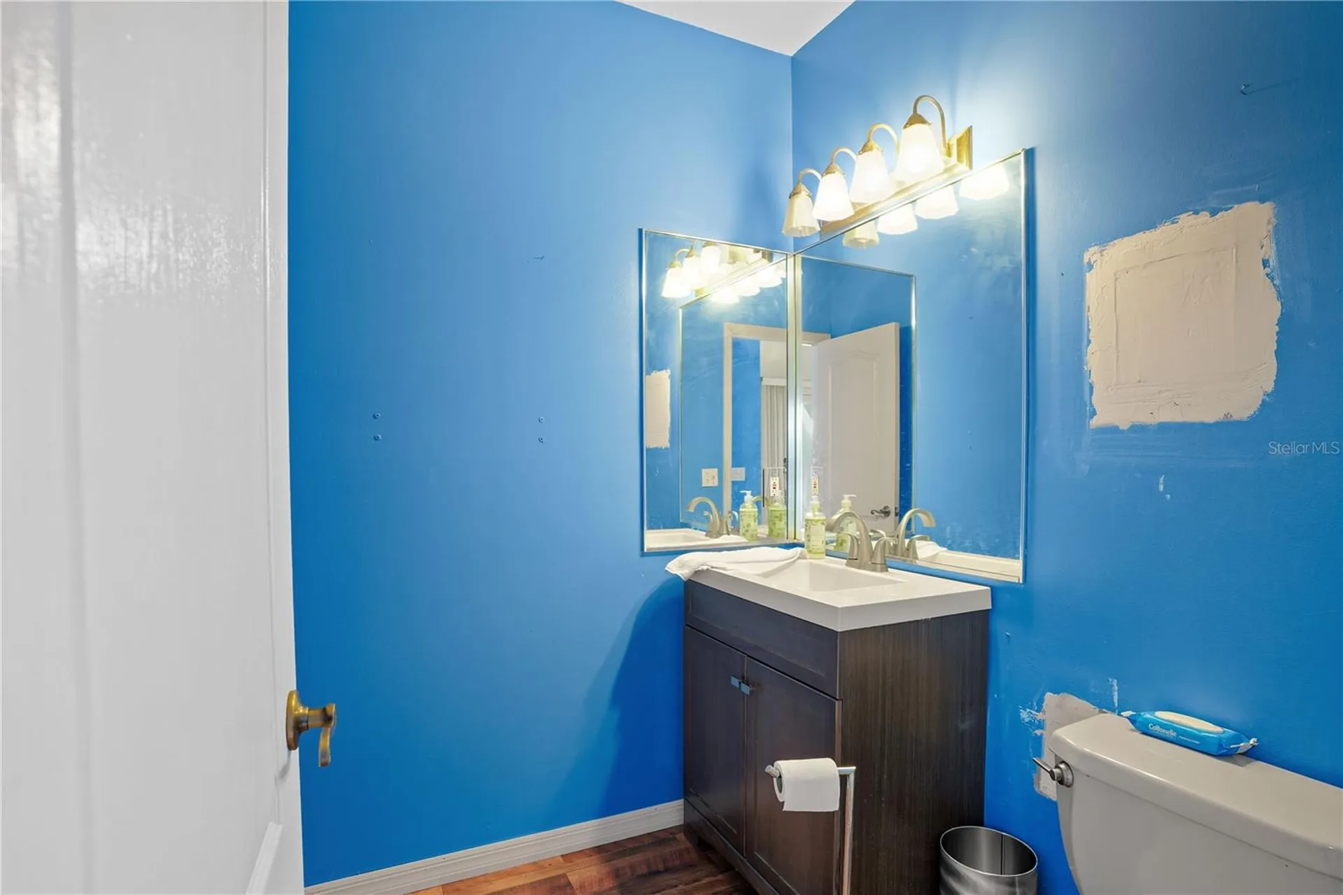 2286 Lake Francis Drive Apopka FL 32712