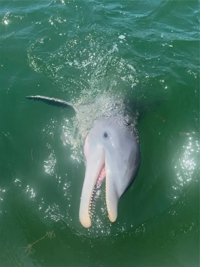 2518 Coral Court Indian Rocks Beach FL 33785