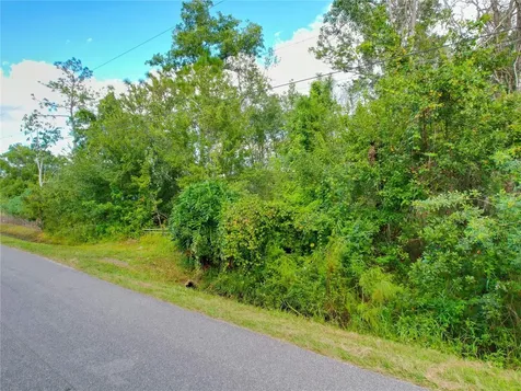 3641 Packard Avenue St Cloud FL 34772