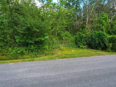 3641 Packard Avenue St Cloud FL 34772
