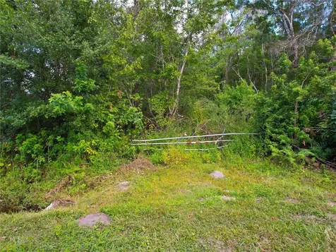3641 Packard Avenue St Cloud FL 34772
