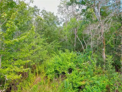 3641 Packard Avenue St Cloud FL 34772