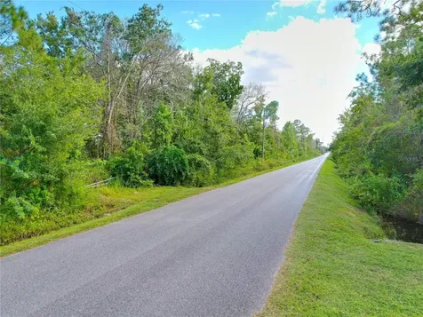 3641 Packard Avenue St Cloud FL 34772