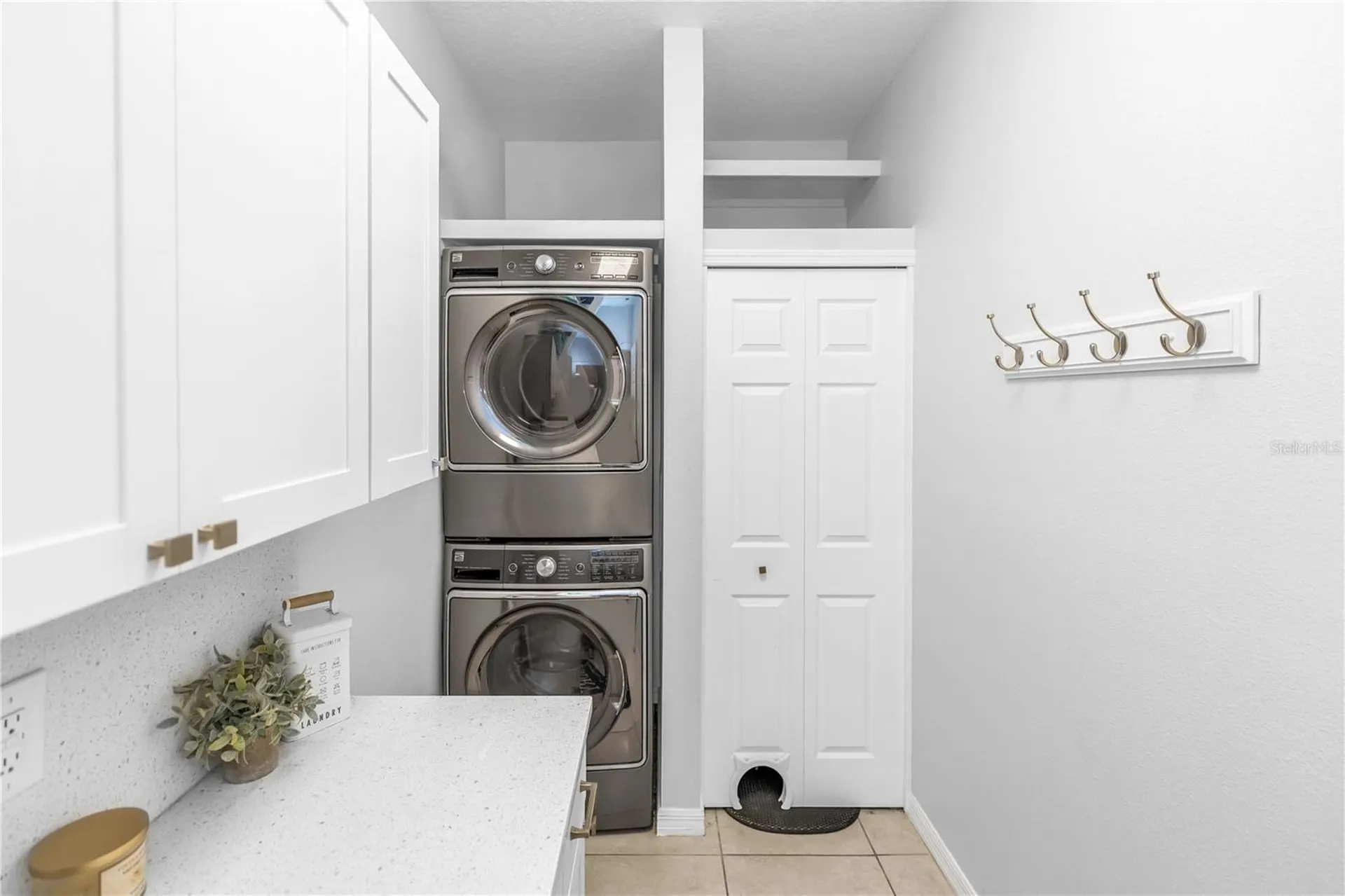 3301 Bethpage Loop Mount Dora FL 32757