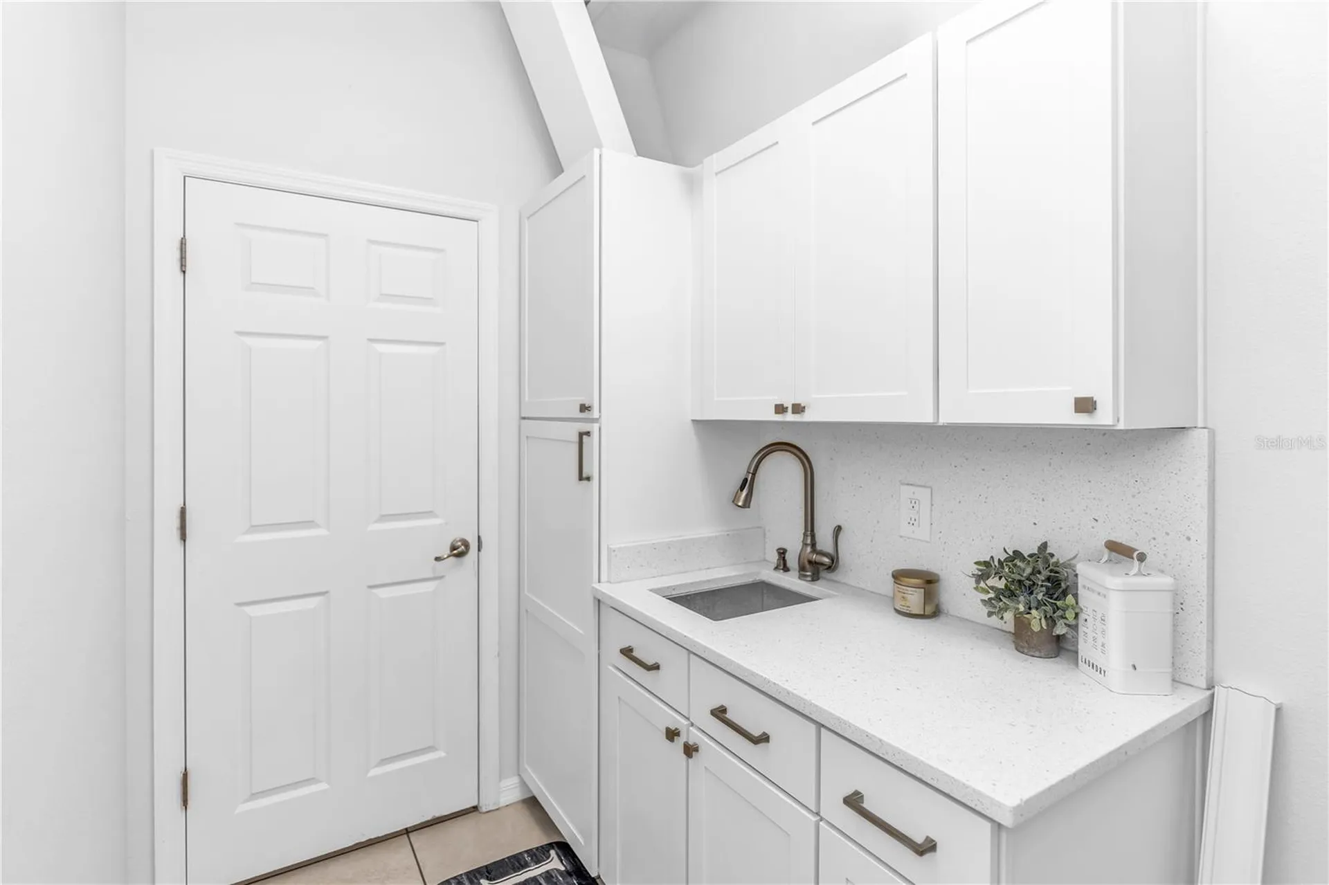 3301 Bethpage Loop Mount Dora FL 32757