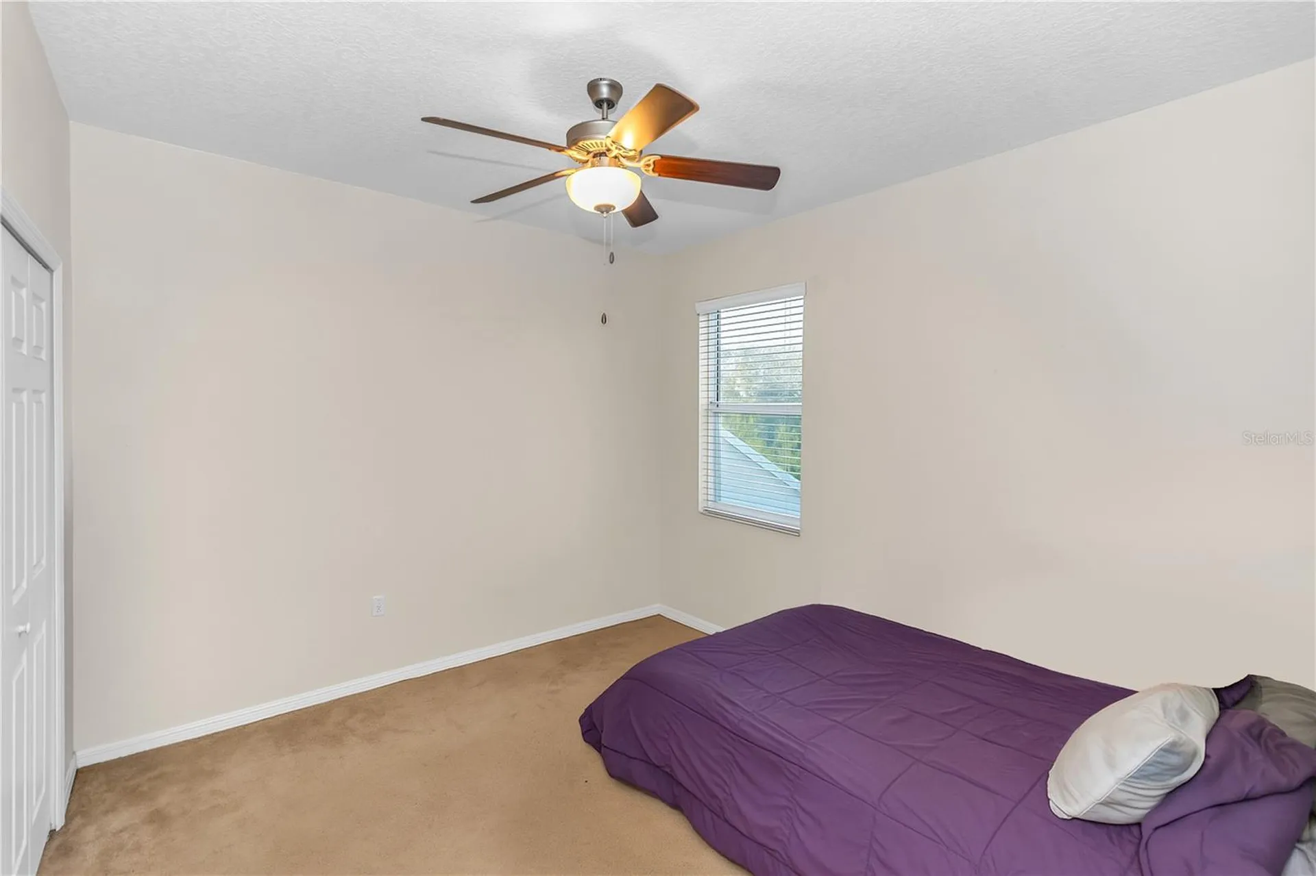 3301 Bethpage Loop Mount Dora FL 32757