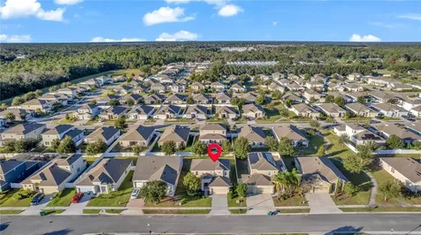 3301 Bethpage Loop Mount Dora FL 32757