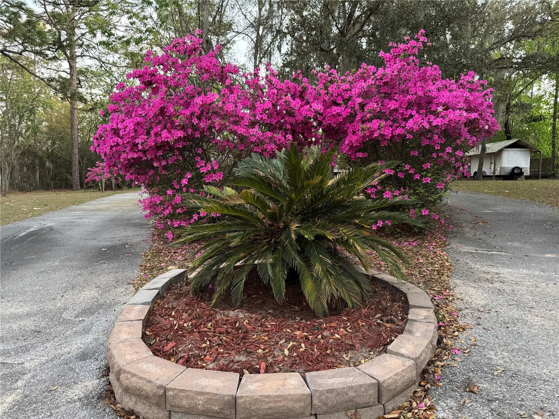 4540 W Sandy Hill Street Lecanto FL 34461