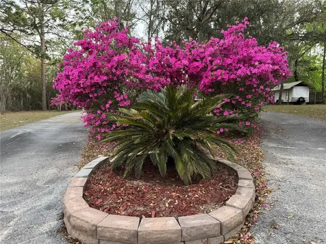 4540 W Sandy Hill Street Lecanto FL 34461
