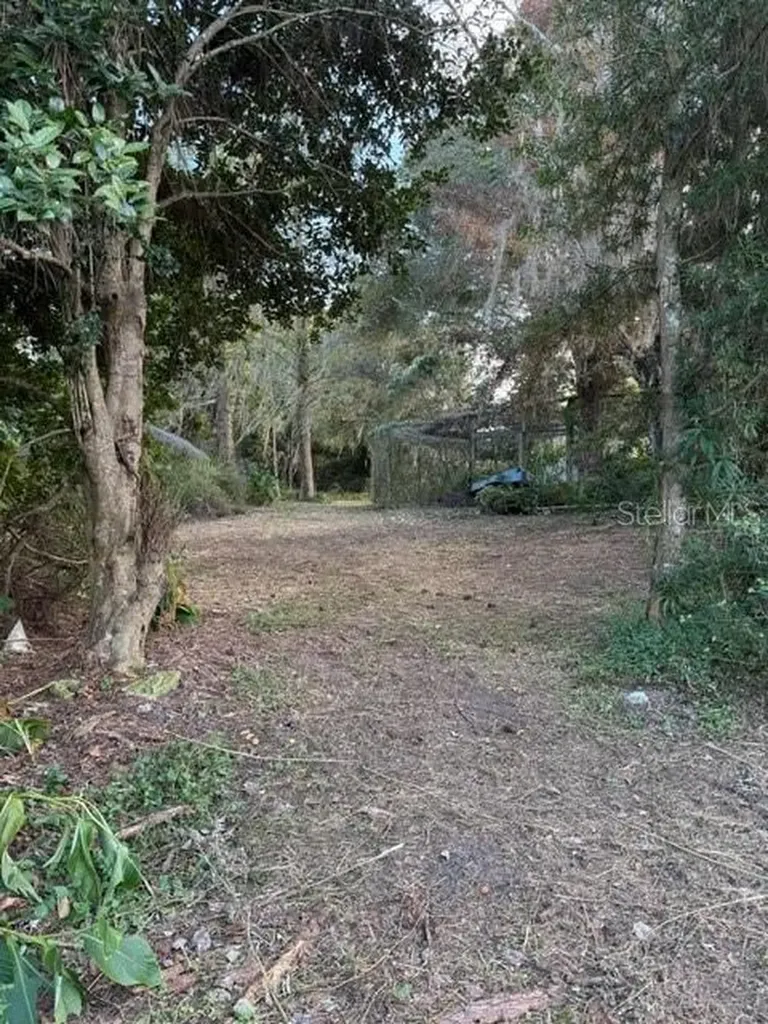 14914 SE 56th Avenue Summerfield FL 34491