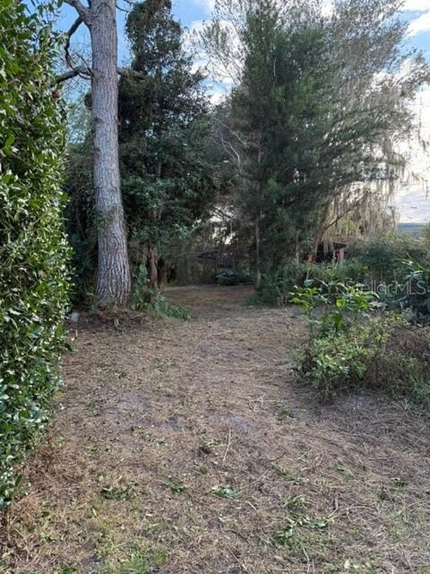 14914 SE 56th Avenue Summerfield FL 34491