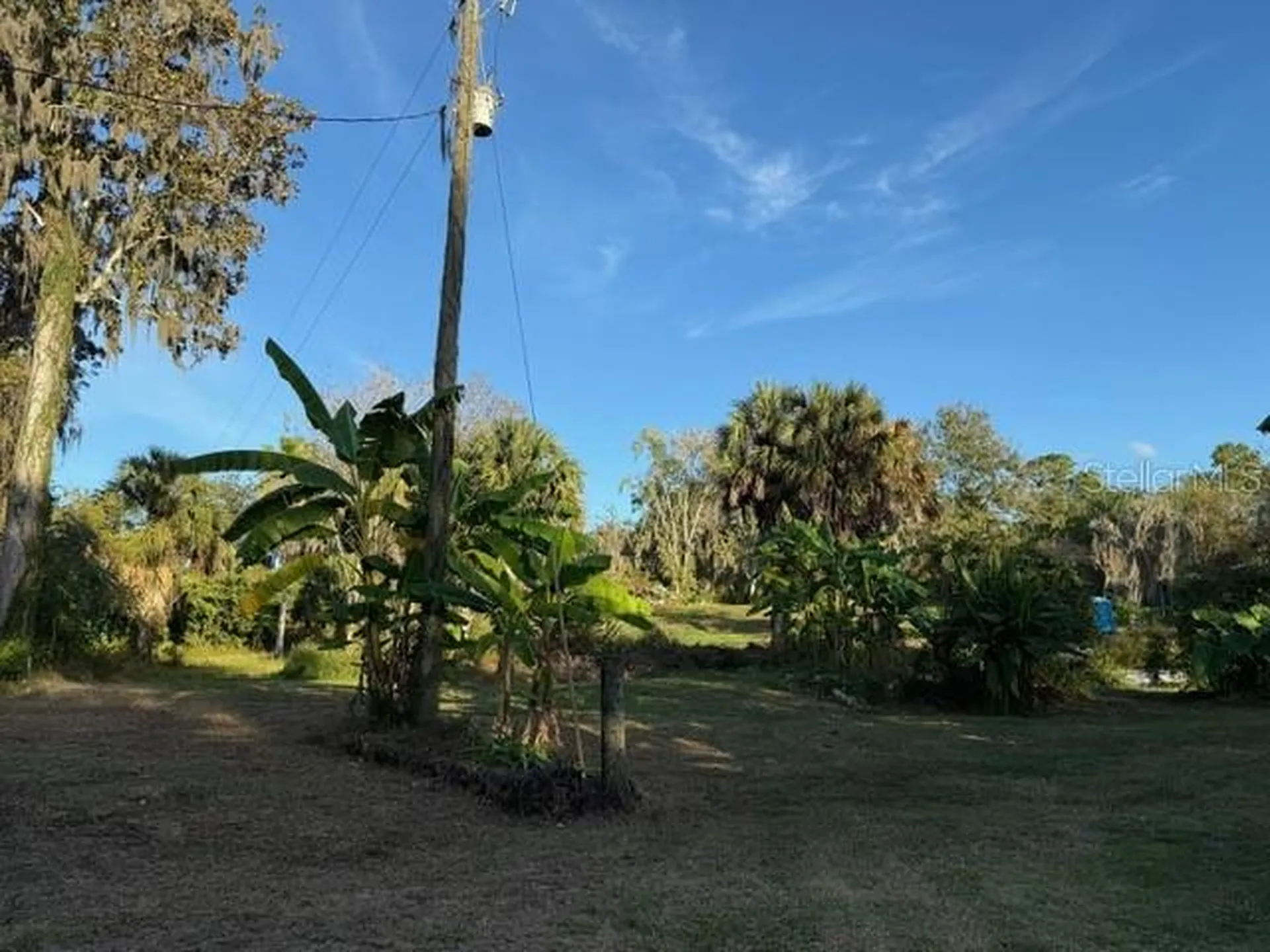 14914 SE 56th Avenue Summerfield FL 34491