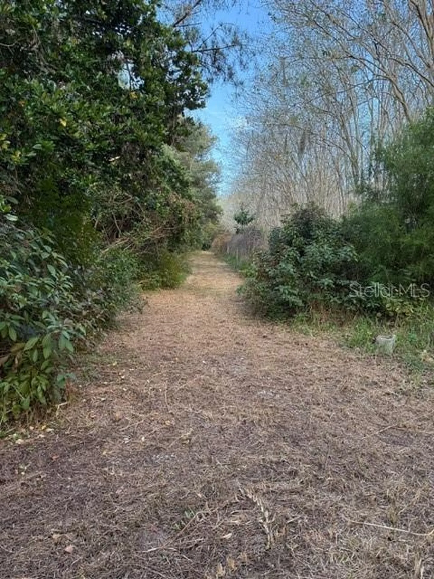 14914 SE 56th Avenue Summerfield FL 34491