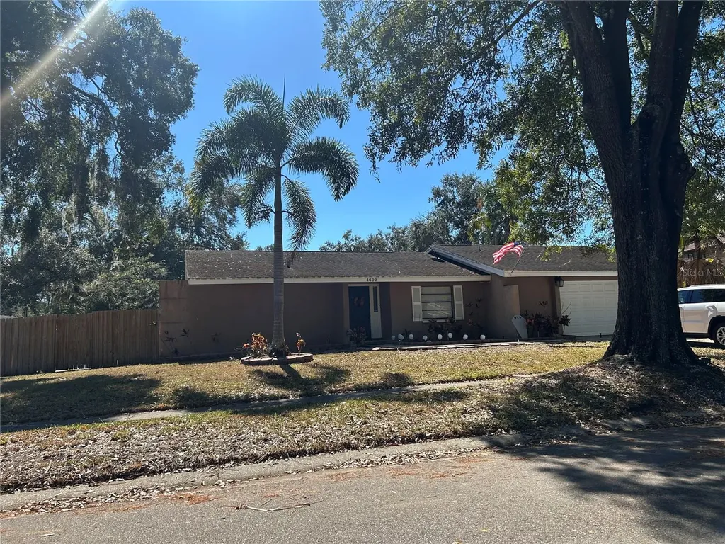 4602 Buckeye Road Tampa FL 33624
