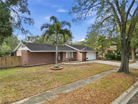 4602 Buckeye Road Tampa FL 33624