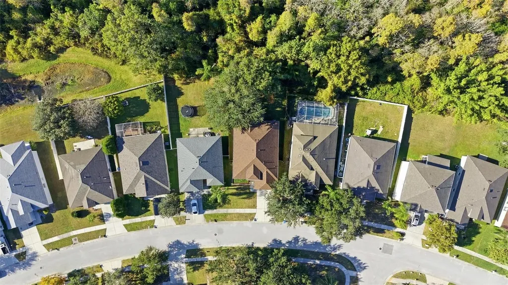 10232 Grant Creek Drive Tampa FL 33647