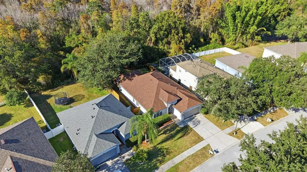 10232 Grant Creek Drive Tampa FL 33647