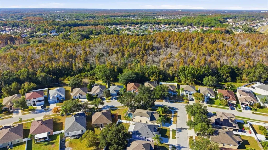 10232 Grant Creek Drive Tampa FL 33647