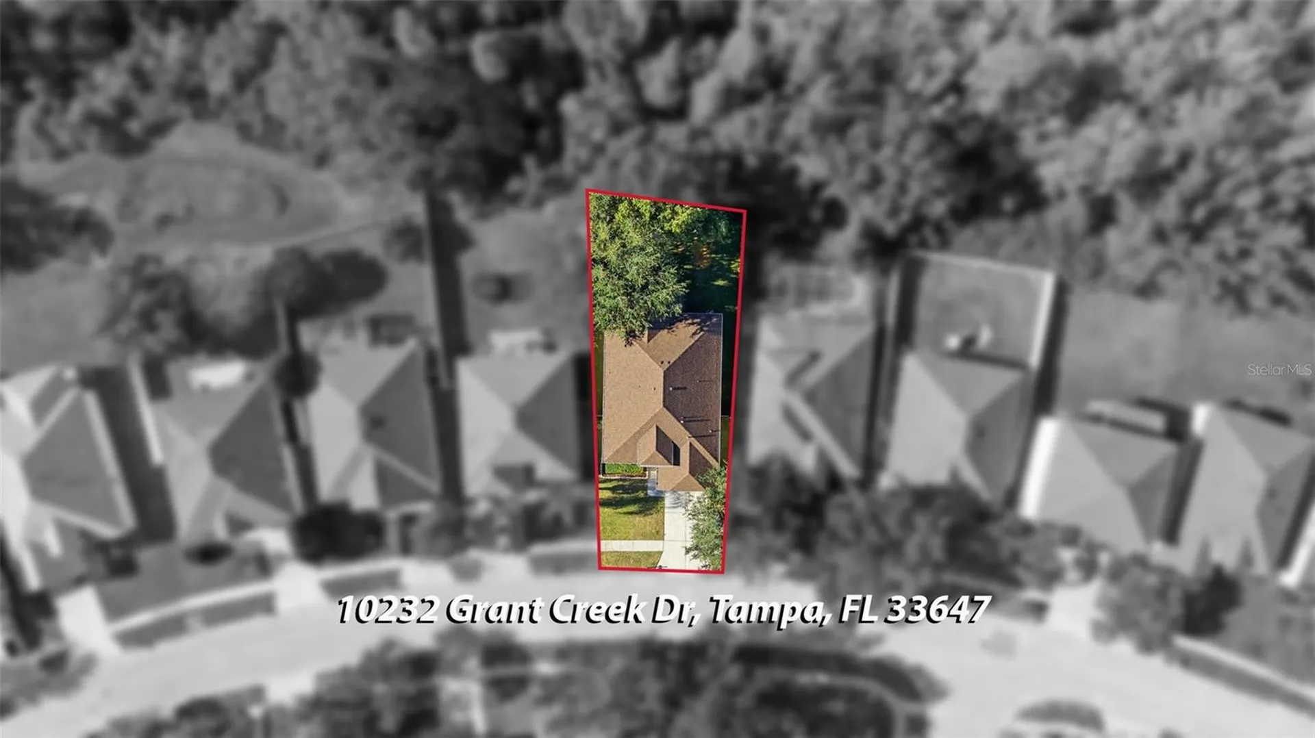 10232 Grant Creek Drive Tampa FL 33647