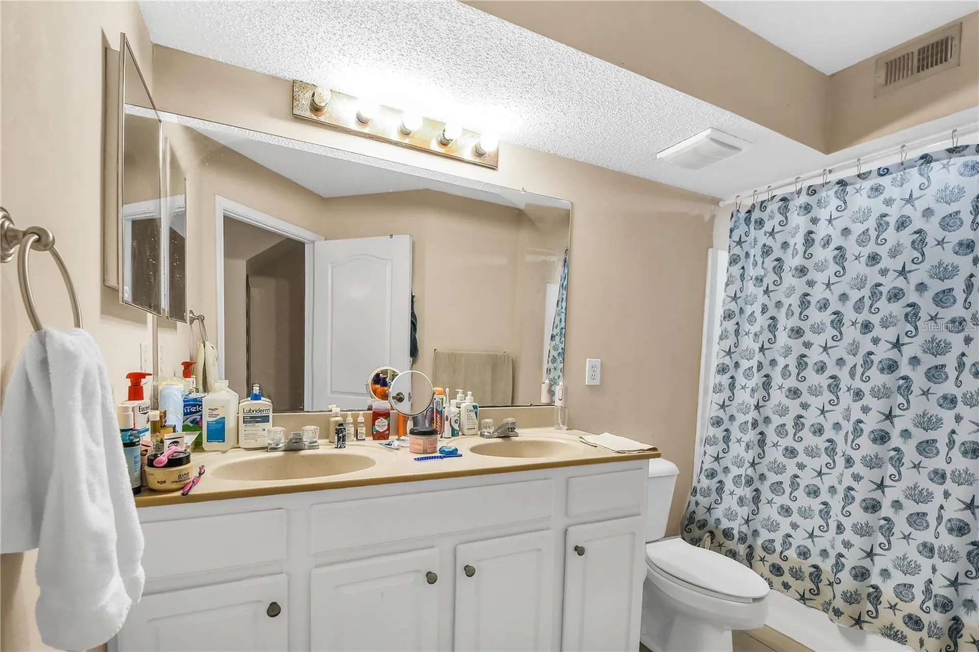 12311 Lantana Park Lane Orlando FL 32837