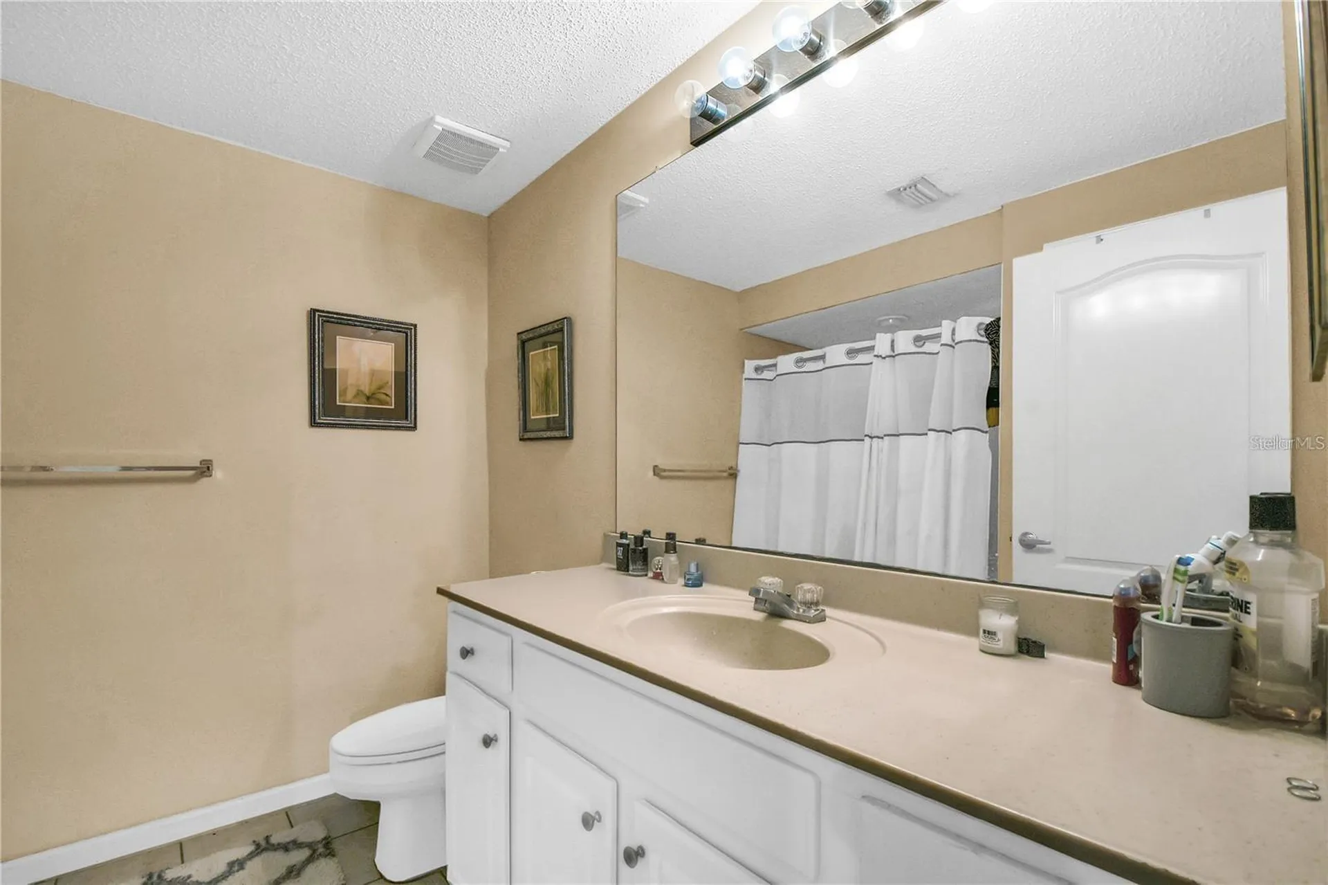 12311 Lantana Park Lane Orlando FL 32837