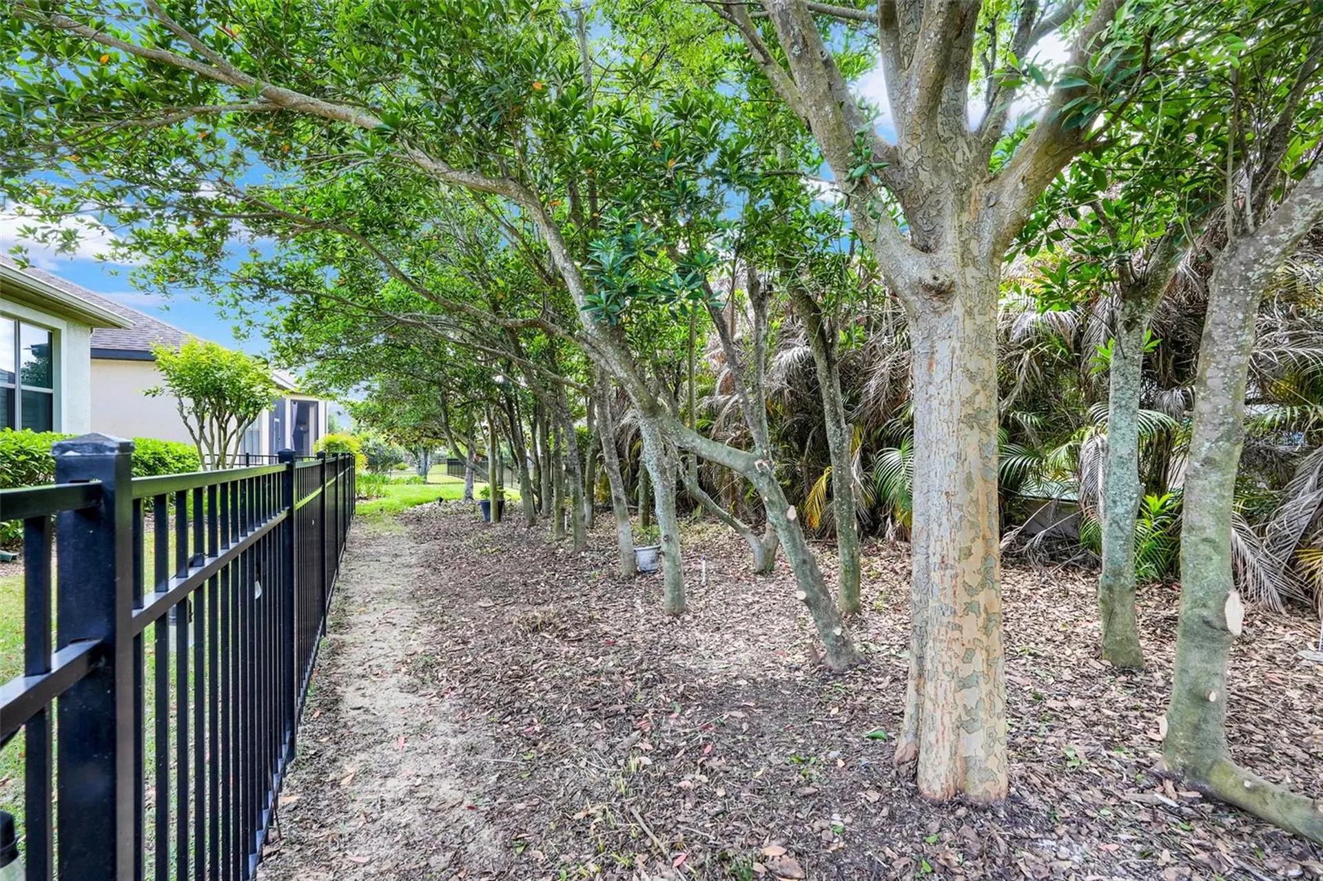 1038 Timbervale Trail Clermont FL 34715