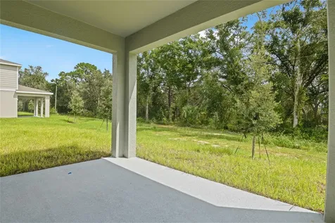 1026 Cloud Ridge Court Mount Dora FL 32757