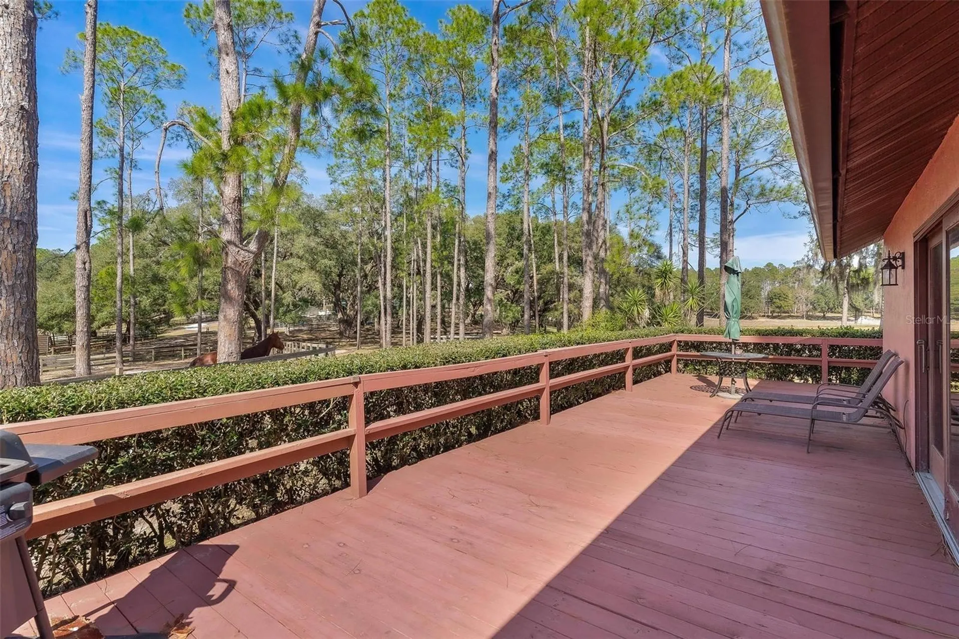 42645 W Altoona Road Altoona FL 32702