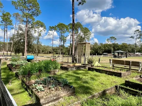 42645 W Altoona Road Altoona FL 32702