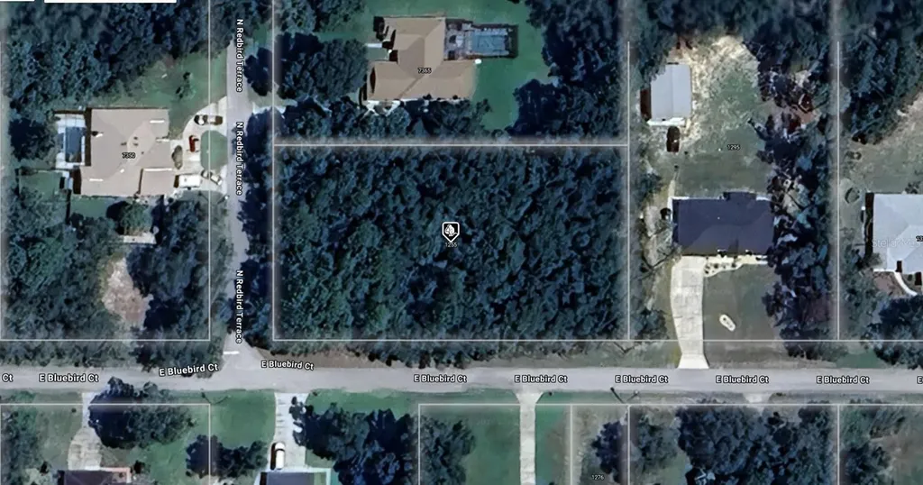 1255 E Bluebird Court Hernando FL 34442